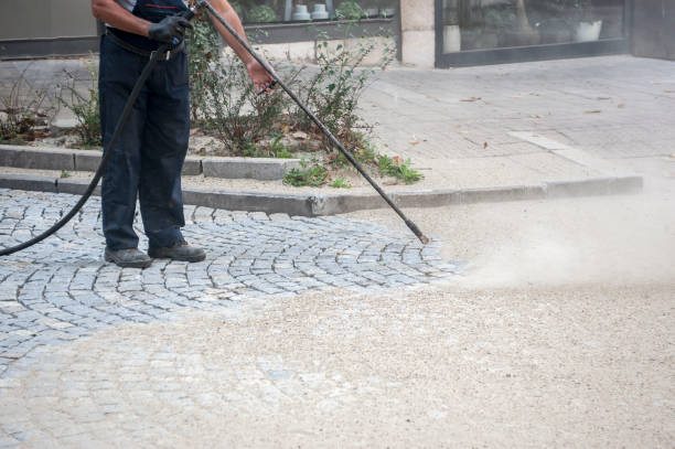 Best Pre-Holiday Cleaning  in Brackettville, TX