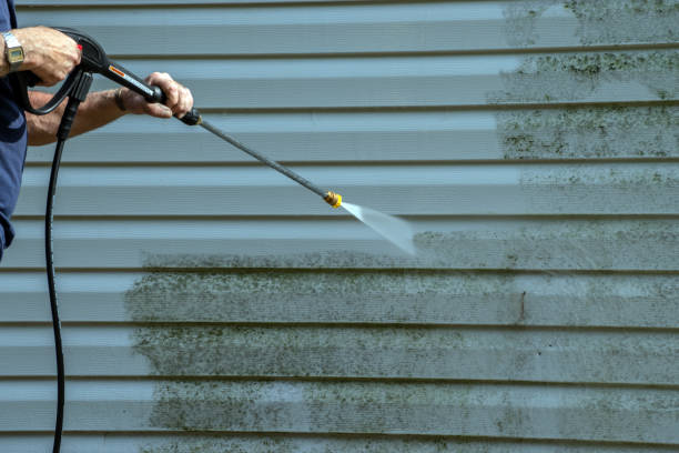 Best Driveway Pressure Washing  in Brackettville, TX